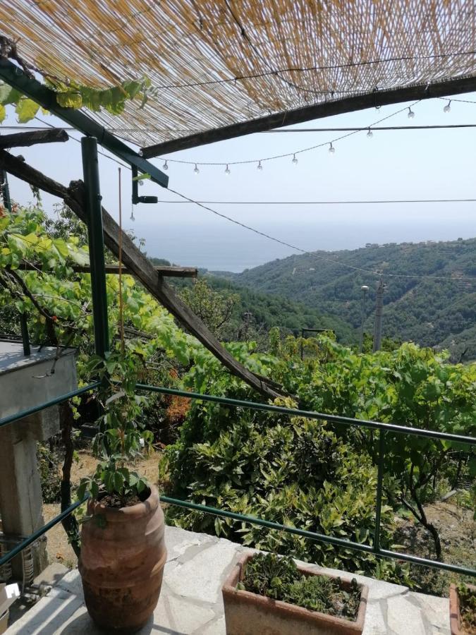 Ca Du Stea Βίλα Lavagna Εξωτερικό φωτογραφία