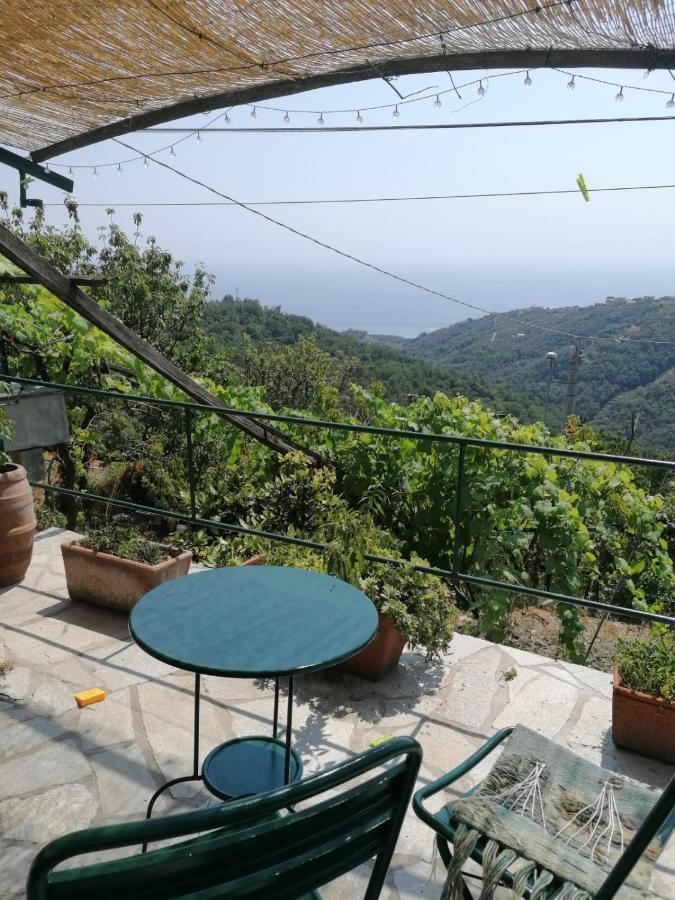 Ca Du Stea Βίλα Lavagna Εξωτερικό φωτογραφία