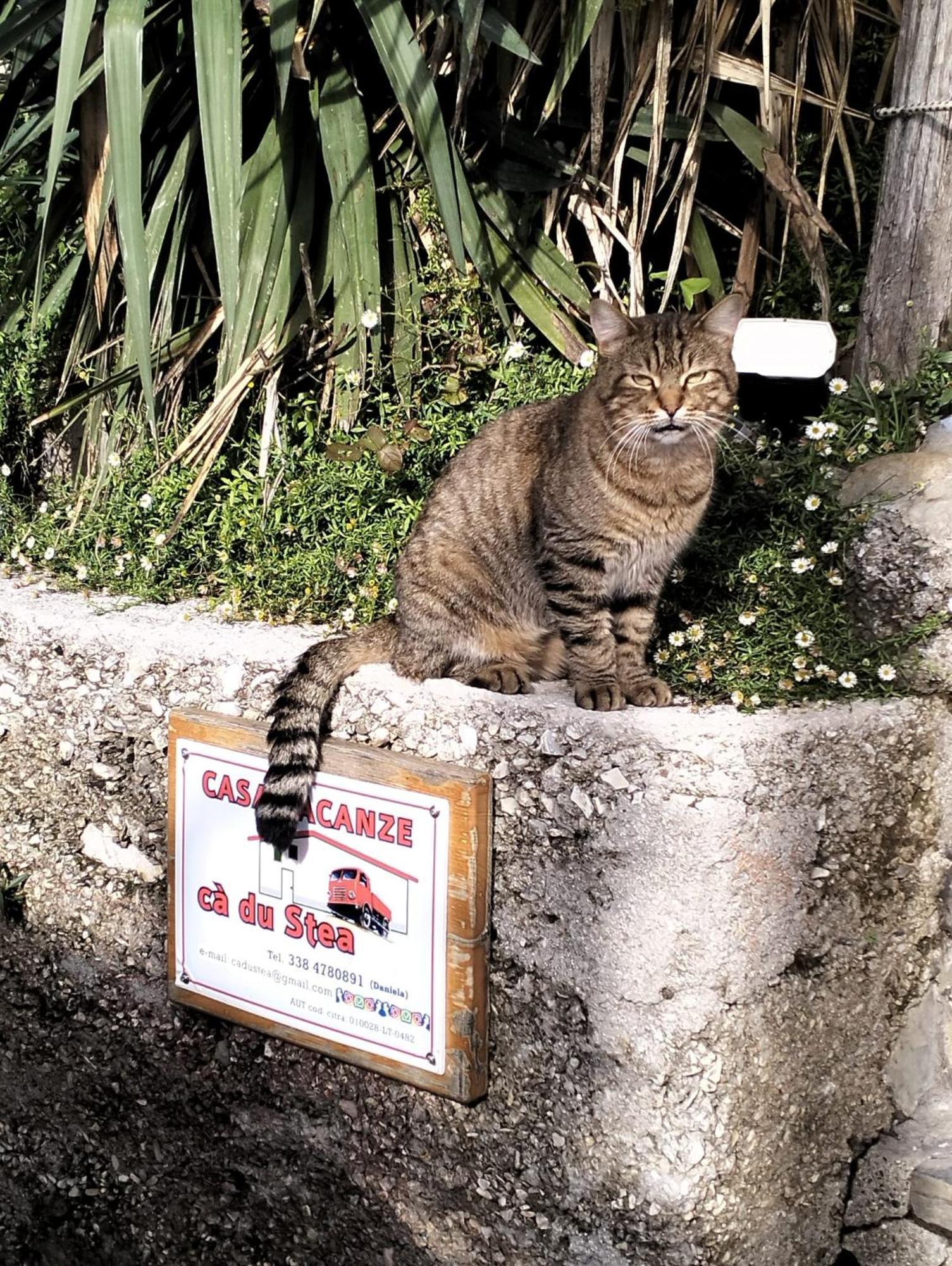 Ca Du Stea Βίλα Lavagna Εξωτερικό φωτογραφία