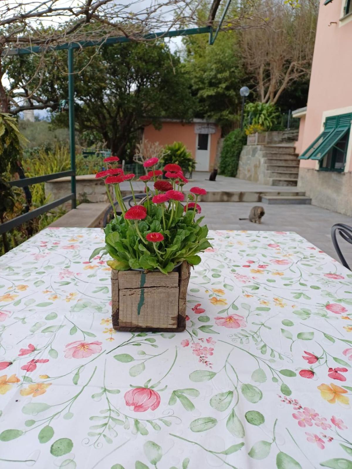 Ca Du Stea Βίλα Lavagna Εξωτερικό φωτογραφία